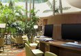 Sheraton Grand Macao Hotel, Cotai Central в Макао (полуостров) Макао ✅. Забронировать номер онлайн по выгодной цене в Sheraton Grand Macao Hotel, Cotai Central. Трансфер из аэропорта.