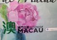 Home of Macau в Макао (полуостров) Макао ✅. Забронировать номер онлайн по выгодной цене в Home of Macau. Трансфер из аэропорта.