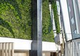 Eaton, Hong Kong в Гонконг Гонконг ✅. Забронировать номер онлайн по выгодной цене в Eaton, Hong Kong. Трансфер из аэропорта.
