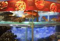 The South China Hotel в Гонконг Гонконг ✅. Забронировать номер онлайн по выгодной цене в The South China Hotel. Трансфер из аэропорта.