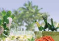 Hong Kong Gold Coast Hotel в Гонконг Гонконг ✅. Забронировать номер онлайн по выгодной цене в Hong Kong Gold Coast Hotel. Трансфер из аэропорта.