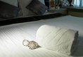 M1 Hotel в Гонконг Гонконг ✅. Забронировать номер онлайн по выгодной цене в M1 Hotel. Трансфер из аэропорта.