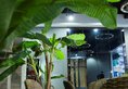 M1 Hotel в Гонконг Гонконг ✅. Забронировать номер онлайн по выгодной цене в M1 Hotel. Трансфер из аэропорта.