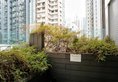 Mia Casa Hotel в Гонконг Гонконг ✅. Забронировать номер онлайн по выгодной цене в Mia Casa Hotel. Трансфер из аэропорта.