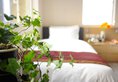 Apartment Kapok в Гонконг Гонконг ✅. Забронировать номер онлайн по выгодной цене в Apartment Kapok. Трансфер из аэропорта.