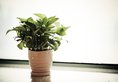 Rambler Garden Hotel в Гонконг Гонконг ✅. Забронировать номер онлайн по выгодной цене в Rambler Garden Hotel. Трансфер из аэропорта.