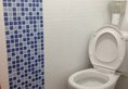 Asia Travel House в Гонконг Гонконг ✅. Забронировать номер онлайн по выгодной цене в Asia Travel House. Трансфер из аэропорта.