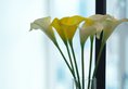 Minimal Hotel ∙ Culture в Гонконг Гонконг ✅. Забронировать номер онлайн по выгодной цене в Minimal Hotel ∙ Culture. Трансфер из аэропорта.
