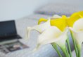 Minimal Hotel ∙ Culture в Гонконг Гонконг ✅. Забронировать номер онлайн по выгодной цене в Minimal Hotel ∙ Culture. Трансфер из аэропорта.
