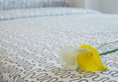 Minimal Hotel ∙ Culture в Гонконг Гонконг ✅. Забронировать номер онлайн по выгодной цене в Minimal Hotel ∙ Culture. Трансфер из аэропорта.
