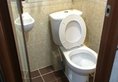 Gold Sparrow Hotel в Гонконг Гонконг ✅. Забронировать номер онлайн по выгодной цене в Gold Sparrow Hotel. Трансфер из аэропорта.