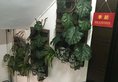 Seasons Hotel в Гонконг Гонконг ✅. Забронировать номер онлайн по выгодной цене в Seasons Hotel. Трансфер из аэропорта.