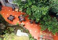 Kunming Upland International Youth Hostel в Куньмин Китай ✅. Забронировать номер онлайн по выгодной цене в Kunming Upland International Youth Hostel. Трансфер из аэропорта.