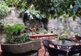 Kunming Upland International Youth Hostel в Куньмин Китай ✅. Забронировать номер онлайн по выгодной цене в Kunming Upland International Youth Hostel. Трансфер из аэропорта.