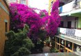 Kunming Cloudland International Youth Hostel в Куньмин Китай ✅. Забронировать номер онлайн по выгодной цене в Kunming Cloudland International Youth Hostel. Трансфер из аэропорта.
