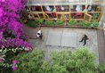 Kunming Cloudland International Youth Hostel в Куньмин Китай ✅. Забронировать номер онлайн по выгодной цене в Kunming Cloudland International Youth Hostel. Трансфер из аэропорта.