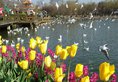 Kunming Yunshui Xingji Hotel Changshui Airport Branch в Куньмин Китай ✅. Забронировать номер онлайн по выгодной цене в Kunming Yunshui Xingji Hotel Changshui Airport Branch. Трансфер из аэропорта.