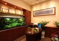 Green Lake Hotel в Куньмин Китай ✅. Забронировать номер онлайн по выгодной цене в Green Lake Hotel. Трансфер из аэропорта.