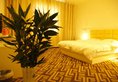 JingShen Vacation-Changshui Branch в Куньмин Китай ✅. Забронировать номер онлайн по выгодной цене в JingShen Vacation-Changshui Branch. Трансфер из аэропорта.