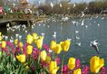 Fairyland Hotel Kunming Middle Haiyuan Road в Куньмин Китай ✅. Забронировать номер онлайн по выгодной цене в Fairyland Hotel Kunming Middle Haiyuan Road. Трансфер из аэропорта.