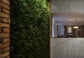Ease House в Лоян Китай ✅. Забронировать номер онлайн по выгодной цене в Ease House. Трансфер из аэропорта.