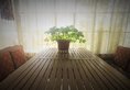 Honey Bee Hub в Тибет Китай ✅. Забронировать номер онлайн по выгодной цене в Honey Bee Hub. Трансфер из аэропорта.