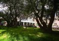Jardin Secret Hotel в Тибет Китай ✅. Забронировать номер онлайн по выгодной цене в Jardin Secret Hotel. Трансфер из аэропорта.