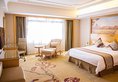 Vienna Hotel Lhasa Potala Palace в Тибет Китай ✅. Забронировать номер онлайн по выгодной цене в Vienna Hotel Lhasa Potala Palace. Трансфер из аэропорта.