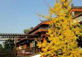 Guilin Zizhou Panorama Resort в Гуйлинь Китай ✅. Забронировать номер онлайн по выгодной цене в Guilin Zizhou Panorama Resort. Трансфер из аэропорта.