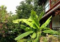 Guilin Zizhou Panorama Resort в Гуйлинь Китай ✅. Забронировать номер онлайн по выгодной цене в Guilin Zizhou Panorama Resort. Трансфер из аэропорта.