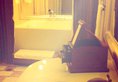 The White House Hotel Guilin в Гуйлинь Китай ✅. Забронировать номер онлайн по выгодной цене в The White House Hotel Guilin. Трансфер из аэропорта.