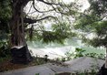 Riverside Inn Guilin в Гуйлинь Китай ✅. Забронировать номер онлайн по выгодной цене в Riverside Inn Guilin. Трансфер из аэропорта.