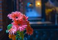 Memory Inn Guilin Central в Гуйлинь Китай ✅. Забронировать номер онлайн по выгодной цене в Memory Inn Guilin Central. Трансфер из аэропорта.