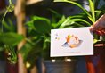 Ease Hostel в Гуйлинь Китай ✅. Забронировать номер онлайн по выгодной цене в Ease Hostel. Трансфер из аэропорта.