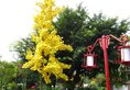 Gui Lin Yi Royal Palace в Гуйлинь Китай ✅. Забронировать номер онлайн по выгодной цене в Gui Lin Yi Royal Palace. Трансфер из аэропорта.