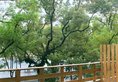Guilin Homeland Riverview Hotel в Гуйлинь Китай ✅. Забронировать номер онлайн по выгодной цене в Guilin Homeland Riverview Hotel. Трансфер из аэропорта.