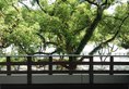 Guilin Homeland Riverview Hotel в Гуйлинь Китай ✅. Забронировать номер онлайн по выгодной цене в Guilin Homeland Riverview Hotel. Трансфер из аэропорта.