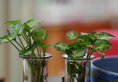 How Flowers Youth Hostel в Гуйлинь Китай ✅. Забронировать номер онлайн по выгодной цене в How Flowers Youth Hostel. Трансфер из аэропорта.