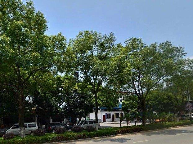 Guilin New Kwangsi Style Hotel в Гуйлинь Китай ✅. Забронировать номер онлайн по выгодной цене в Guilin New Kwangsi Style Hotel. Трансфер из аэропорта.