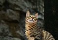 Guilin Dozy Cat Hostel в Гуйлинь Китай ✅. Забронировать номер онлайн по выгодной цене в Guilin Dozy Cat Hostel. Трансфер из аэропорта.
