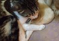 Guilin Dozy Cat Hostel в Гуйлинь Китай ✅. Забронировать номер онлайн по выгодной цене в Guilin Dozy Cat Hostel. Трансфер из аэропорта.
