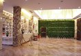 Guilin Jingxin International Hotel в Гуйлинь Китай ✅. Забронировать номер онлайн по выгодной цене в Guilin Jingxin International Hotel. Трансфер из аэропорта.