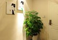 Elan Inn - Guilin Zhongshan Branch в Гуйлинь Китай ✅. Забронировать номер онлайн по выгодной цене в Elan Inn - Guilin Zhongshan Branch. Трансфер из аэропорта.