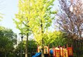 Shangri-La Hotel, Guilin в Гуйлинь Китай ✅. Забронировать номер онлайн по выгодной цене в Shangri-La Hotel, Guilin. Трансфер из аэропорта.