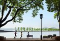 Midtown Shangri-La, Hangzhou в Ханчжоу Китай ✅. Забронировать номер онлайн по выгодной цене в Midtown Shangri-La, Hangzhou. Трансфер из аэропорта.