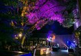 Millennium Resort Hangzhou в Ханчжоу Китай ✅. Забронировать номер онлайн по выгодной цене в Millennium Resort Hangzhou. Трансфер из аэропорта.