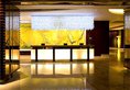 Four Points by Sheraton Hangzhou, Binjiang в Ханчжоу Китай ✅. Забронировать номер онлайн по выгодной цене в Four Points by Sheraton Hangzhou, Binjiang. Трансфер из аэропорта.