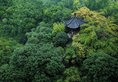 Shangri-La Hotel, Hangzhou в Ханчжоу Китай ✅. Забронировать номер онлайн по выгодной цене в Shangri-La Hotel, Hangzhou. Трансфер из аэропорта.