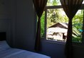 Ngapali Banyan Boutique Hostel в Нгапали Мьянма ✅. Забронировать номер онлайн по выгодной цене в Ngapali Banyan Boutique Hostel. Трансфер из аэропорта.
