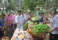 Eskala Hotels and Resorts в Нгве-Саунг Мьянма ✅. Забронировать номер онлайн по выгодной цене в Eskala Hotels and Resorts. Трансфер из аэропорта.